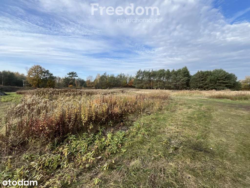 Ładnie położona działka budowlana w Cegielniku - Pełny obrazek: 4/6