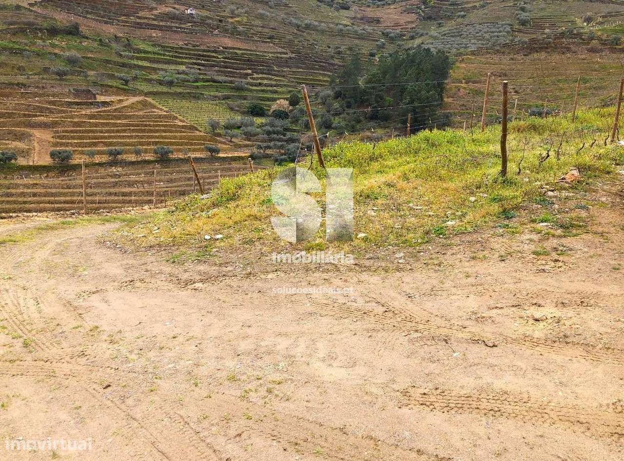 Propriedade Agrícola - Grande imagem: 5/31