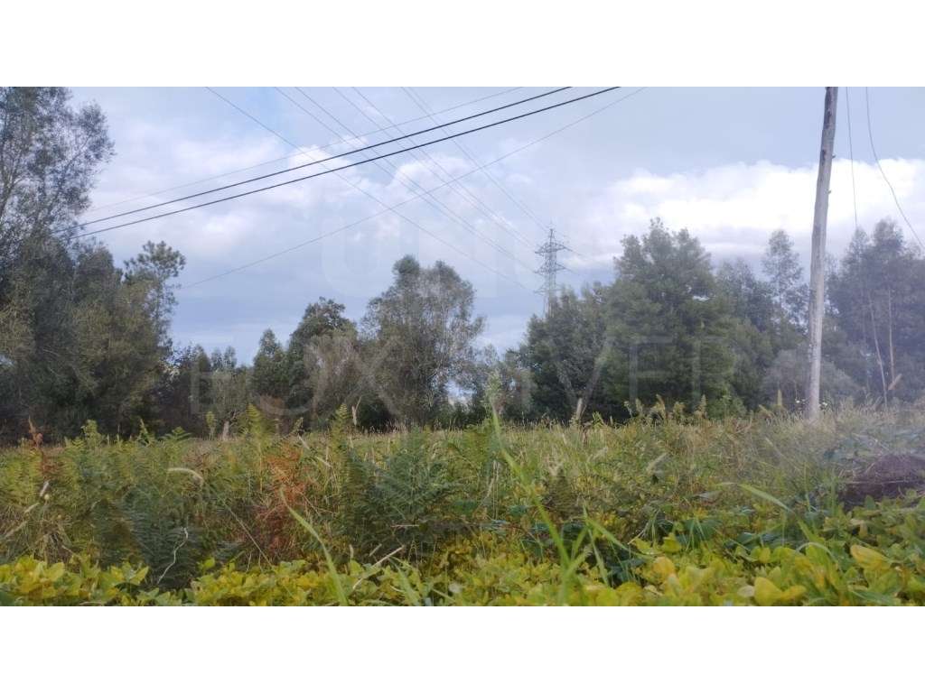 Terreno de Construção em Lanheses - Grande imagem: 2/6