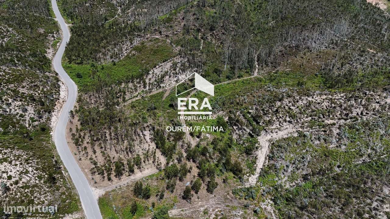 Terreno Florestal em Matas, Ourém-3