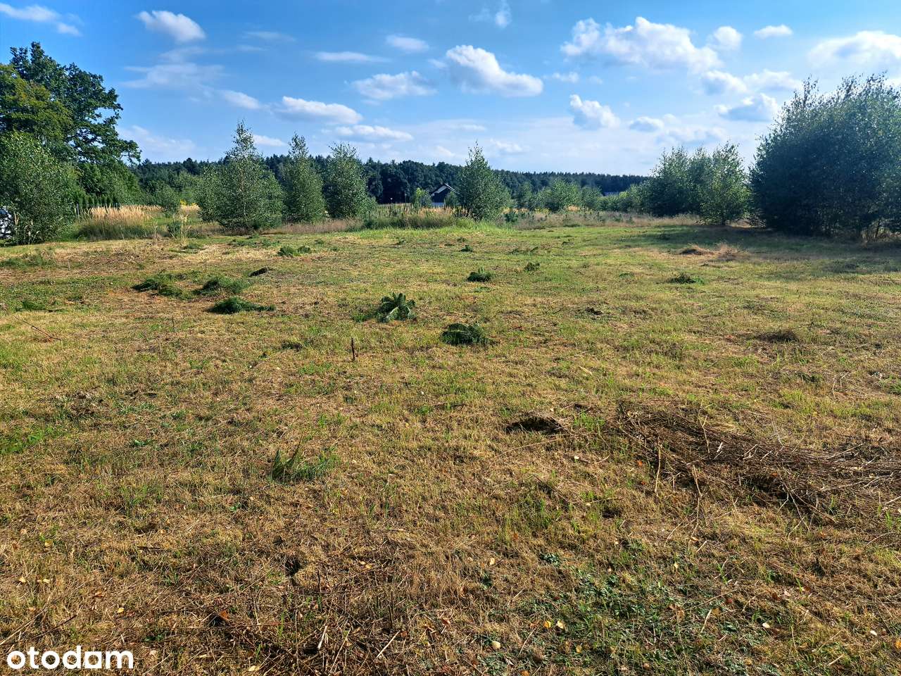 Działka budowlana 1000 m² - Wąsowo – tuż przy lesie! - Pełny obrazek: 3/6