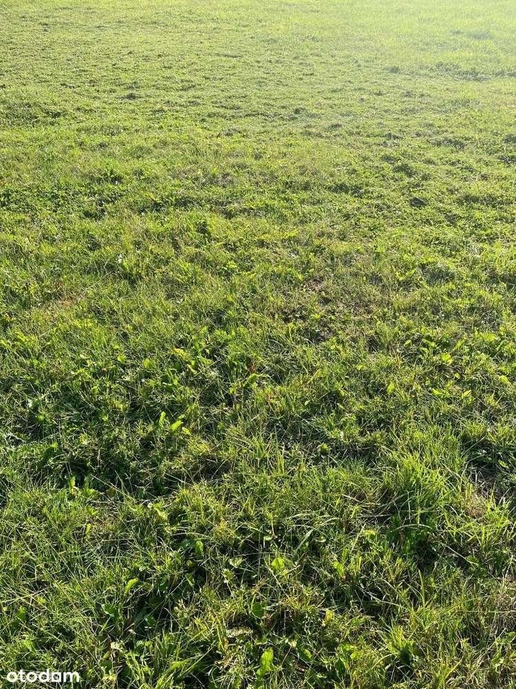 Ustronie /Sianożęty Nowe Działki od 300 do 5000m2! - Pełny obrazek: 1/1