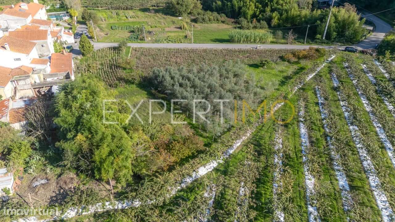 Terreno junto a Ribeiro em Quinta do Colaço (Almalaguês/Coimbra)-7