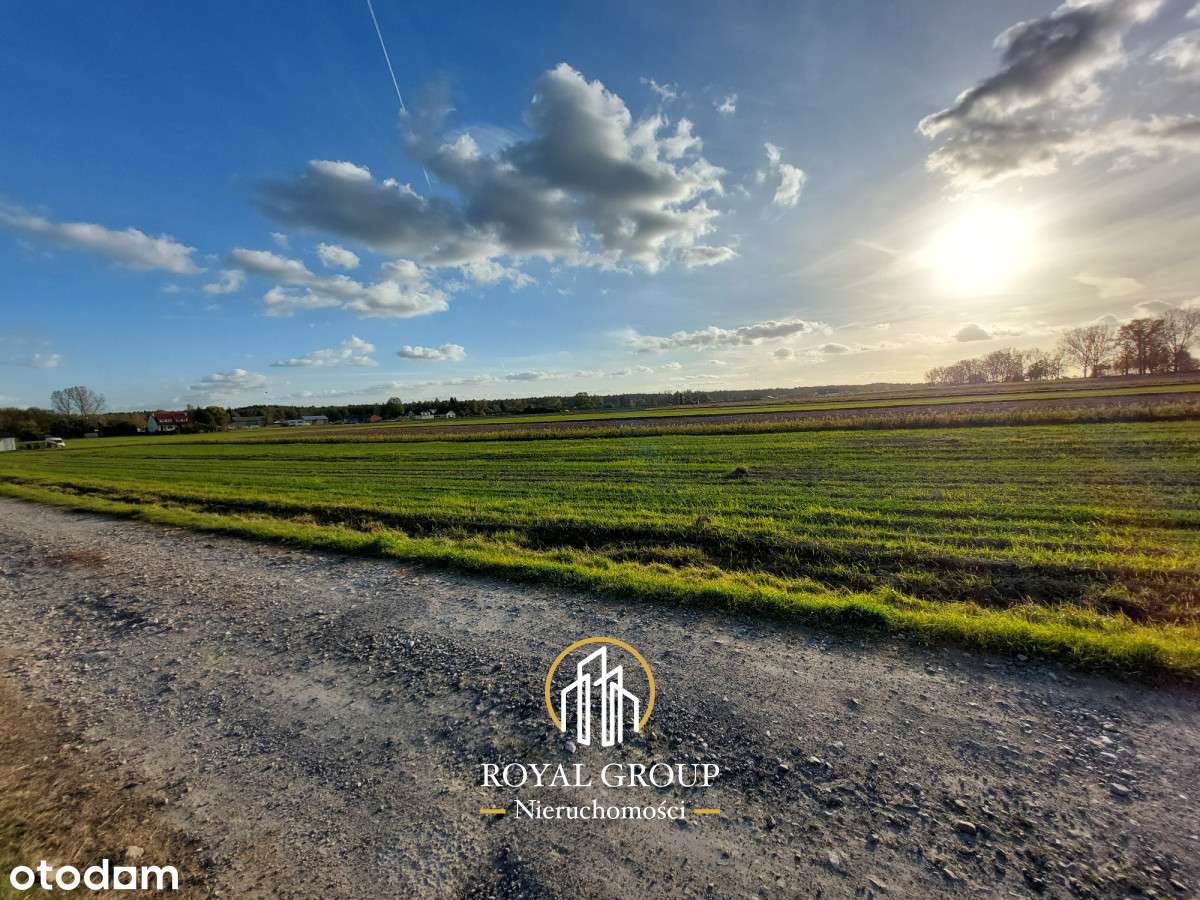 Na sprzedaż 30 arowa działka obok Krężnickiej - Pełny obrazek: 3/6