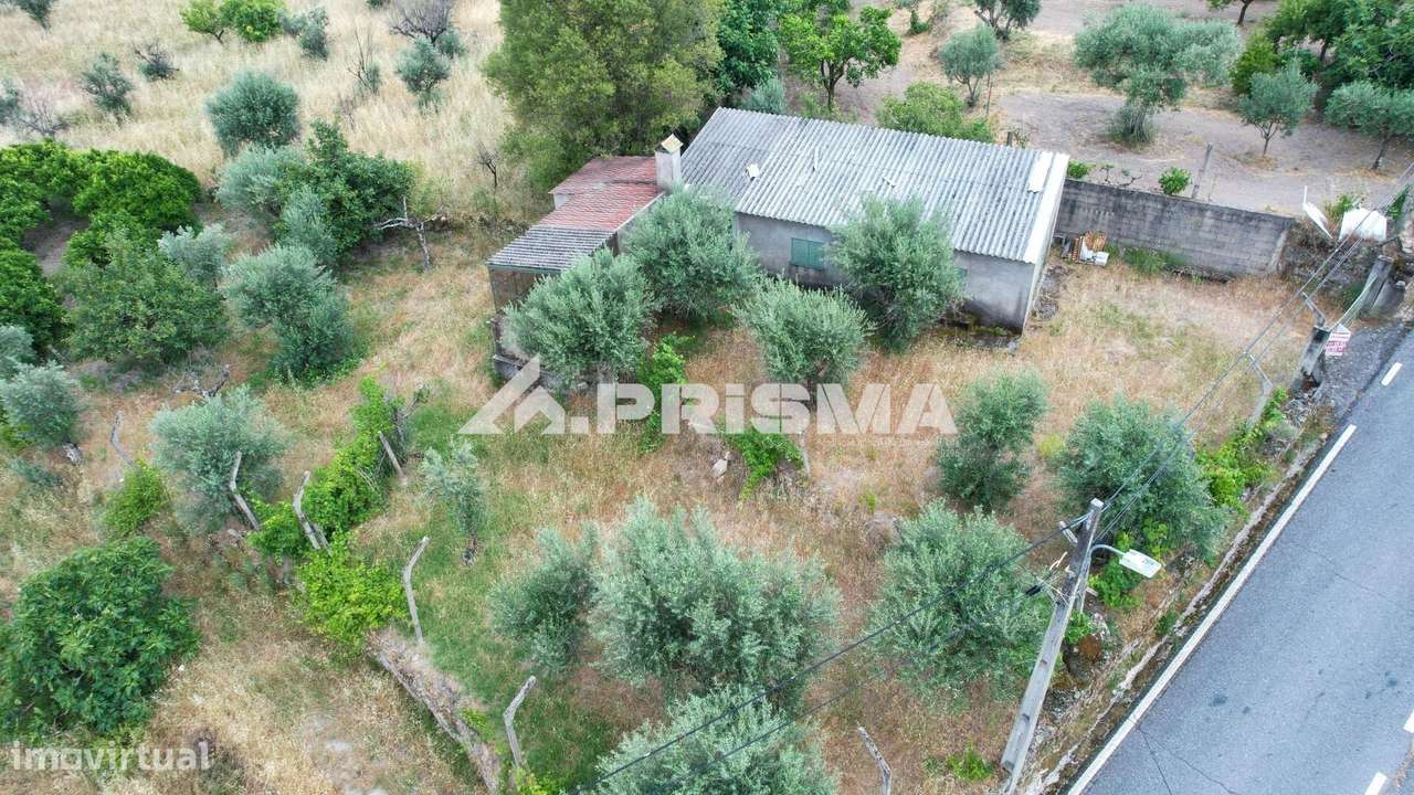Quintinha para venda em Louriçal do Campo, Castelo Branco-6