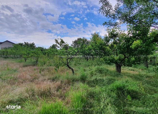 Valu lui Traian - Str. Tudor Arghezi nr. 5, teren intravilan 2.912 mp-18