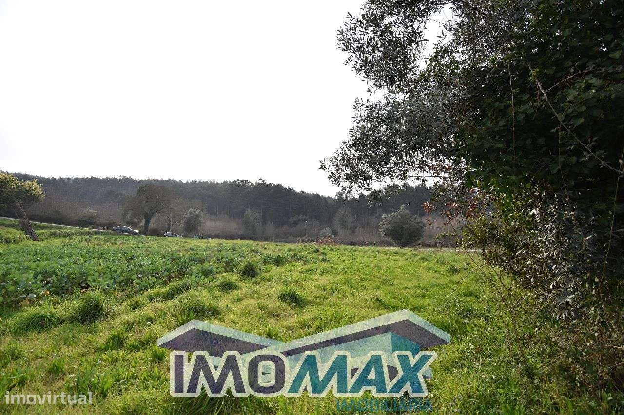 Campo das Porcas - Capela,Penafiel - Grande imagem: 4/4