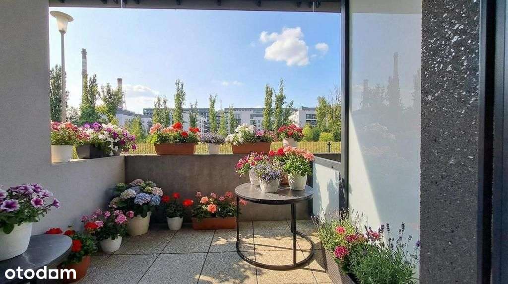 Dwupak inwestycyjny | Kępa Mieszczańska | 2022-7