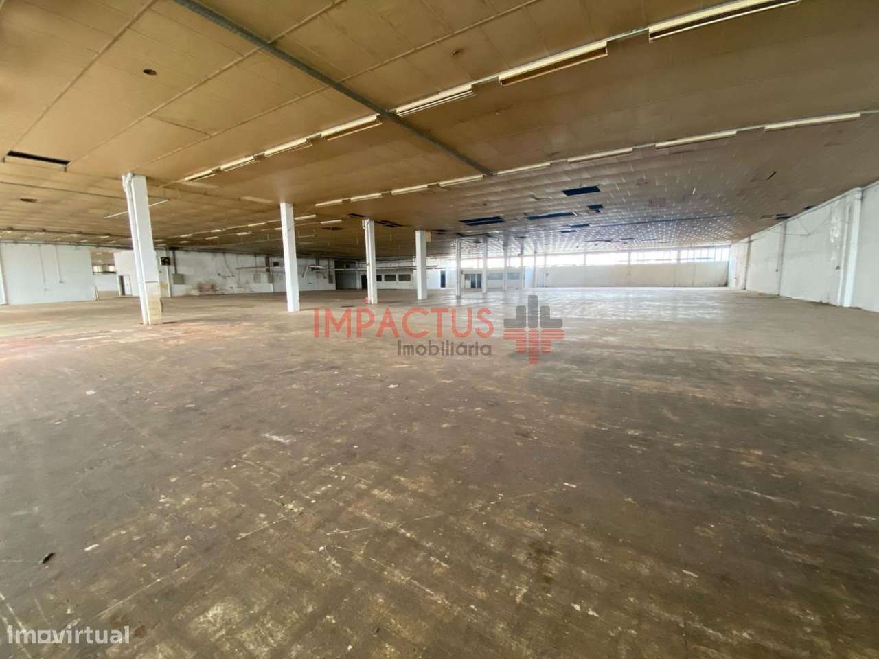 Armazém com possibilidade de ser arrendado apenas metade do armazém - Grande imagem: 4/36