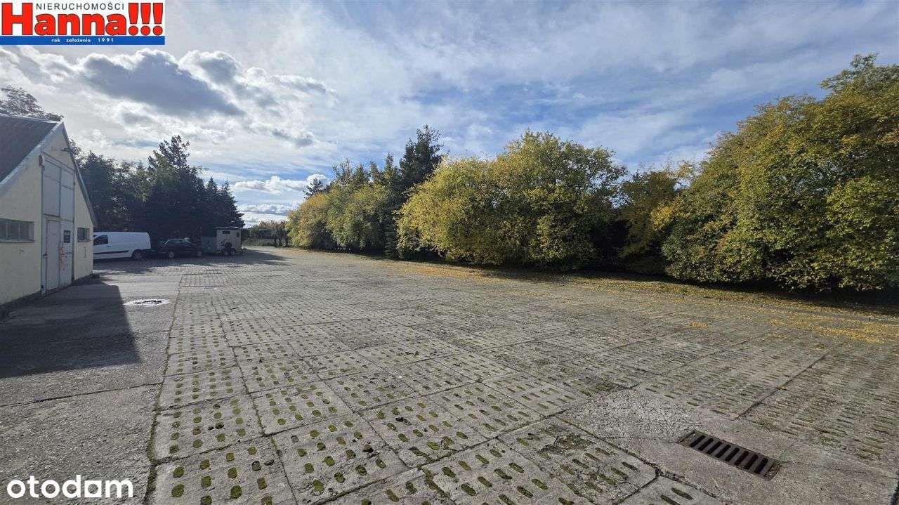 Pruszcz Gdański/Juszkowo - magazyn od 250 do 380m2 - Pełny obrazek: 5/6