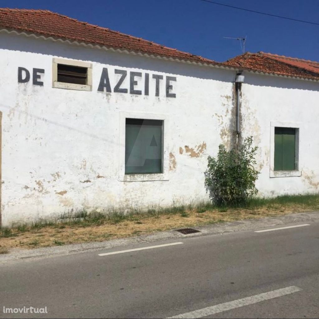 Armazém / Lagar de azeite em funcionamento na Lamarosa | Torres Novas