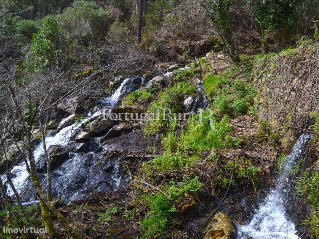 Quinta com 4 casas em pedra para recuperar em Castanheira...