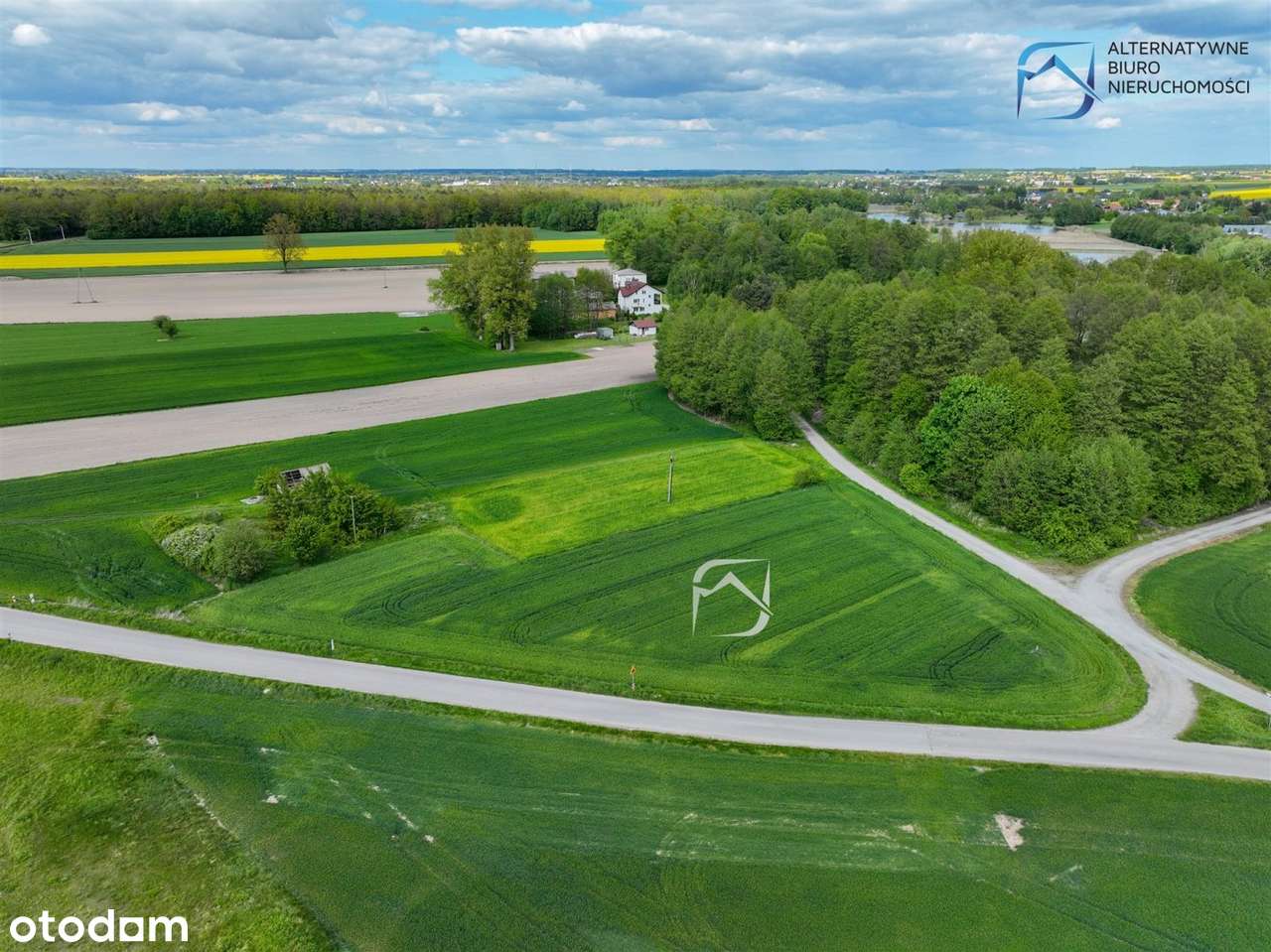 Duża, ustawna działka - Niedrzwica Kościelna - Pełny obrazek: 4/8