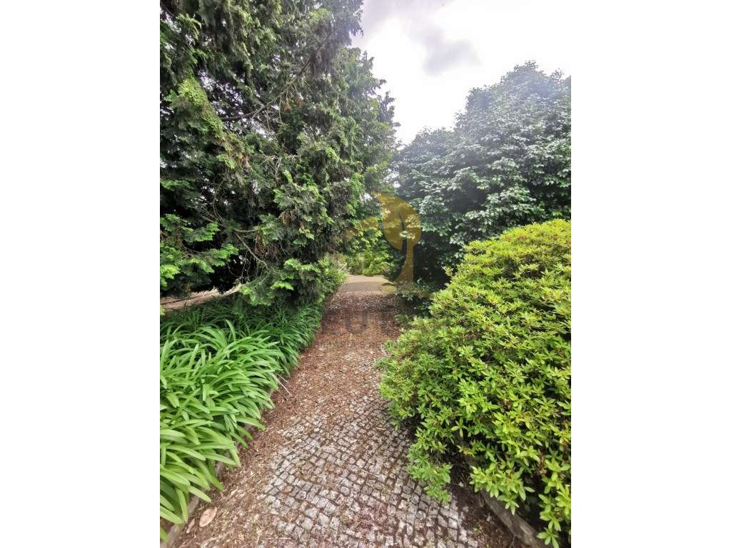 Quinta de Luxo-27