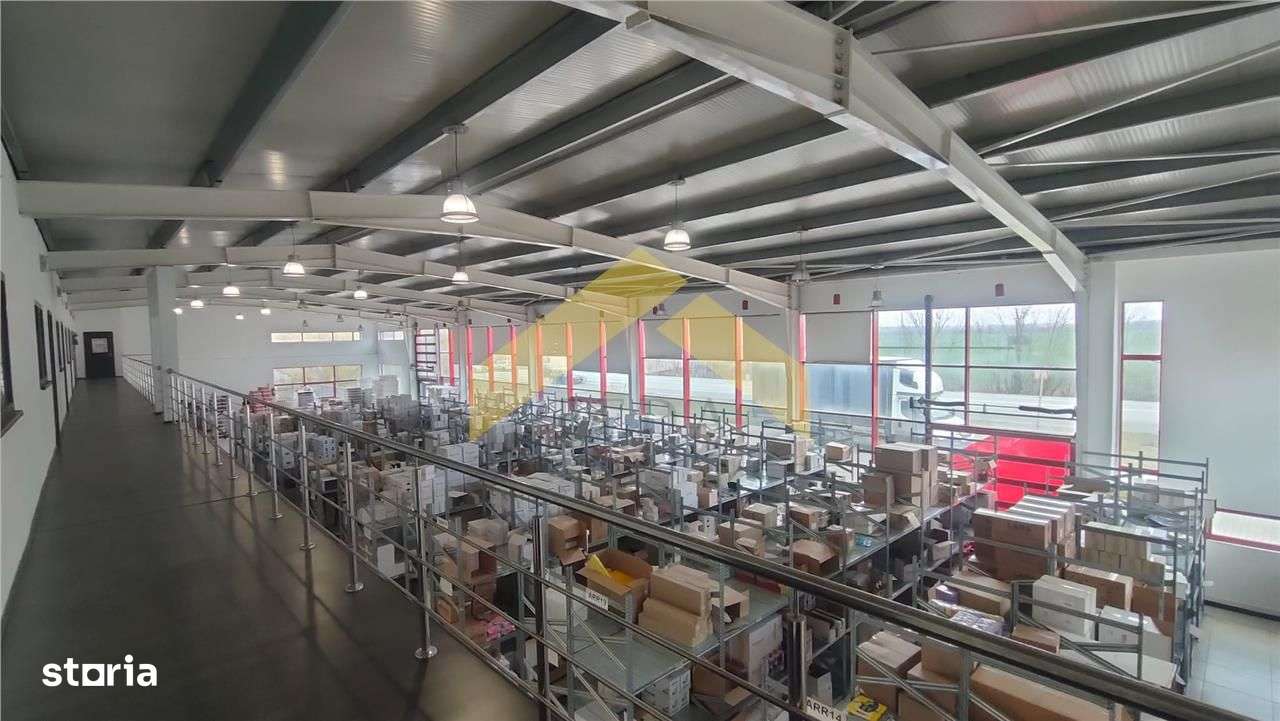 Showroom + hala | 5,100 mp teren Aradul Nou-1