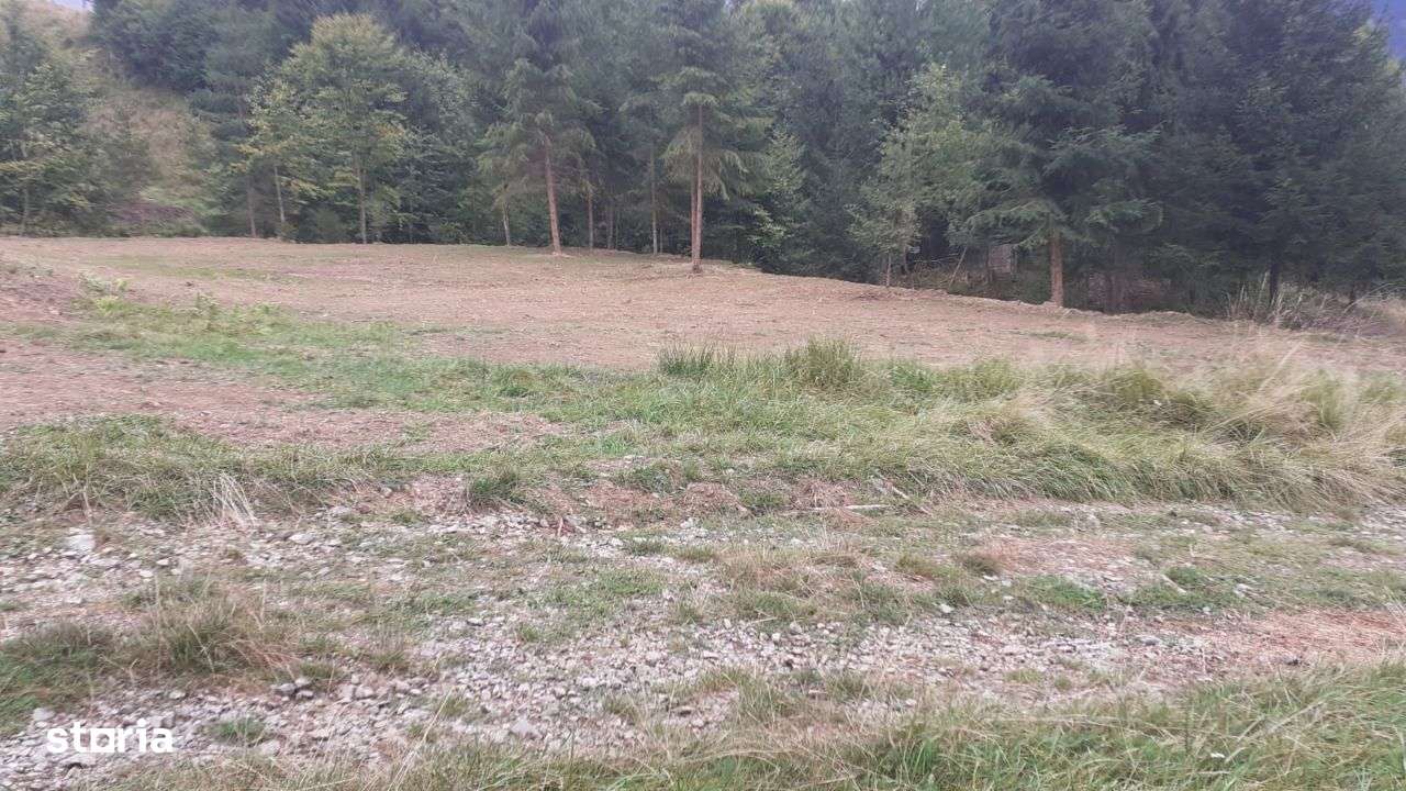 Teren 15 ari Colibita partea stânga. - Imagine principală: 2/5