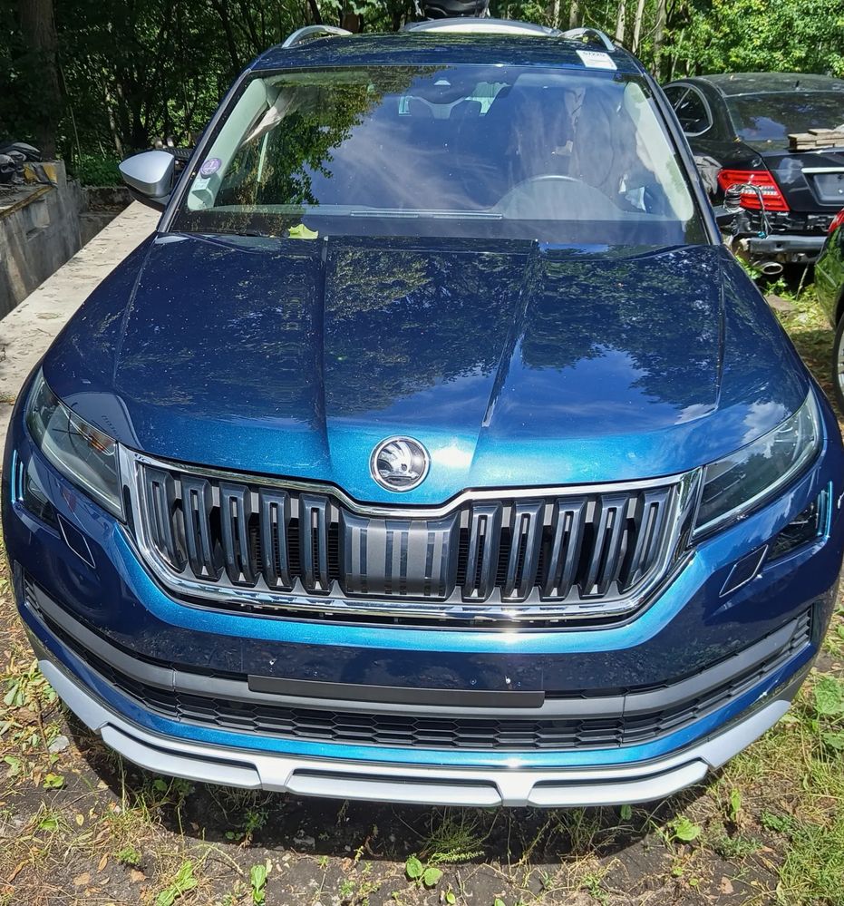 Skoda Kodiaq I (2016-2024) 2.0 TSI 4x4 DSG Scout 2019