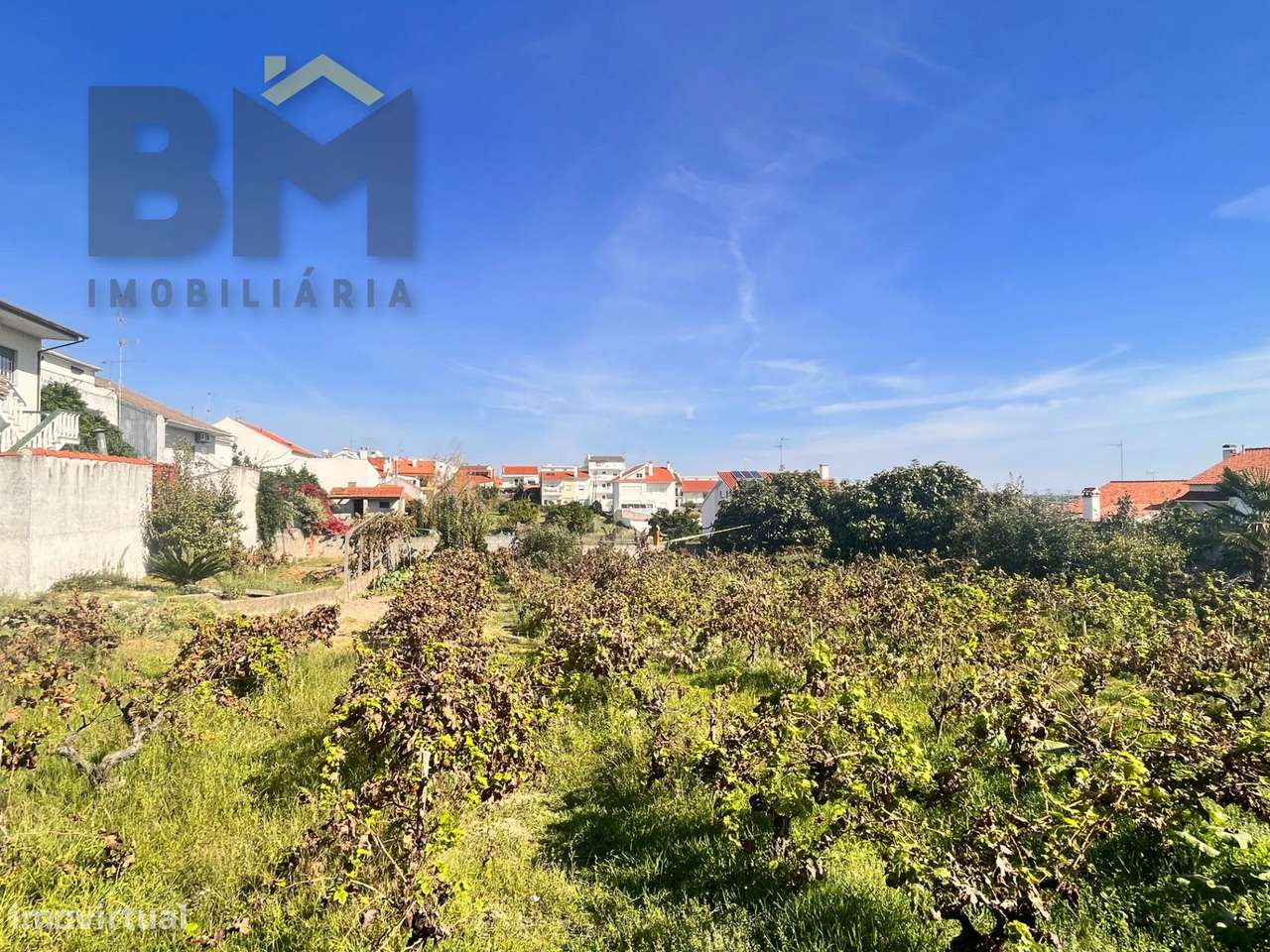 Terreno Para Construção  Venda em Castelo Branco,Castelo Branco - Grande imagem: 5/10