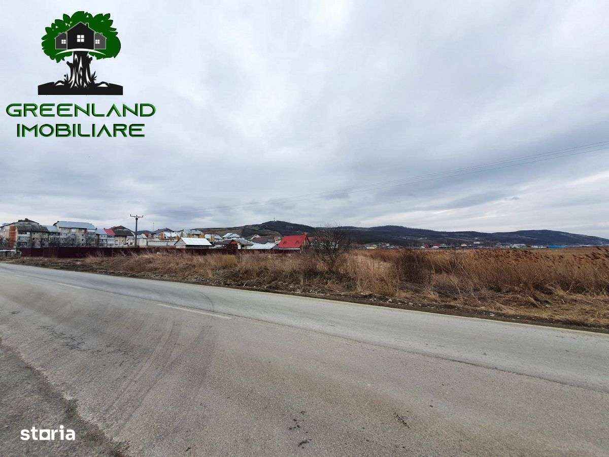 TEREN INTRAVILAN plat, 3100 mp cu 51,6 m deschidere la asfalt, TOMESTI - Imagine principală: 1/6