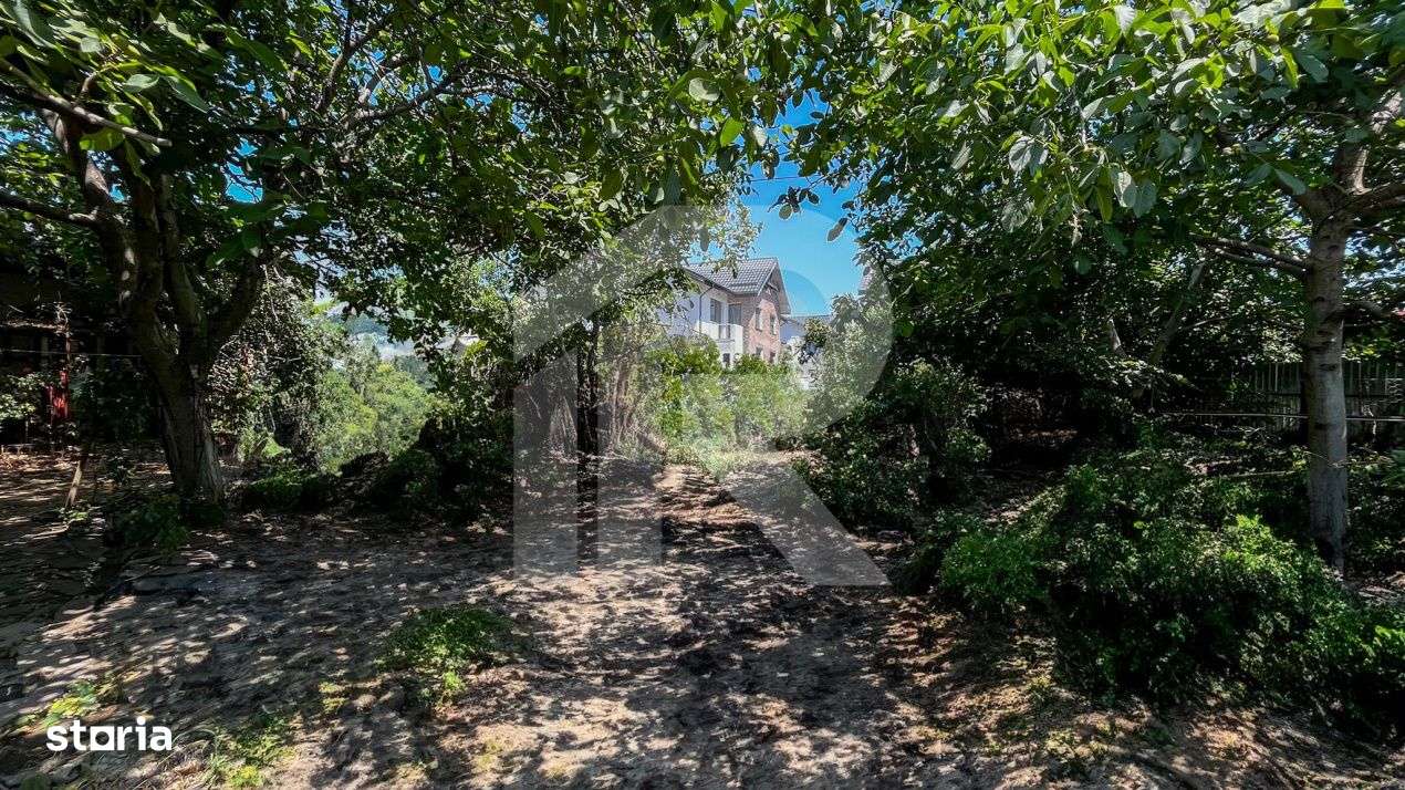 DE VANZARE CASA + TEREN in Dobroestiul (Vechi) - Imagine principală: 2/8