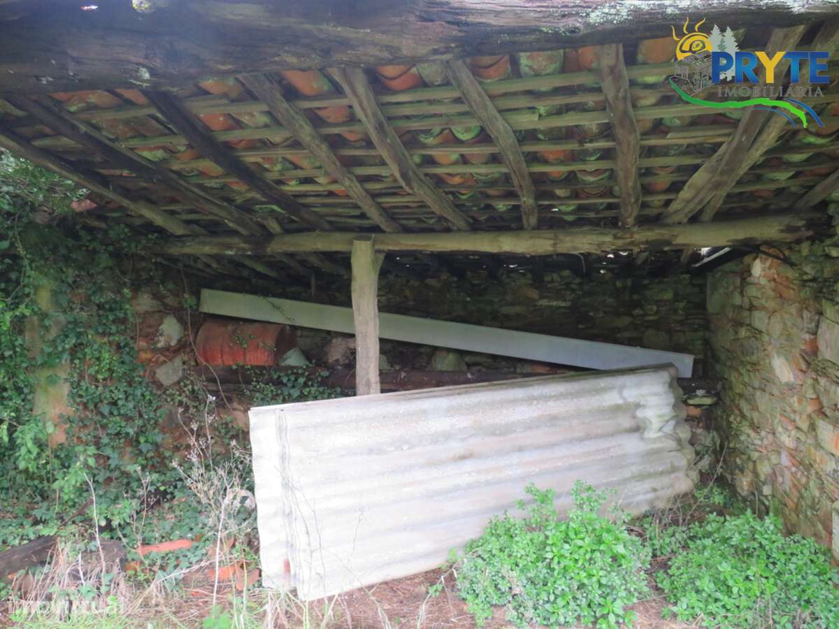 Terreno com árvores de fruto praticamente plano situado perto da Sertã - Grande imagem: 3/30