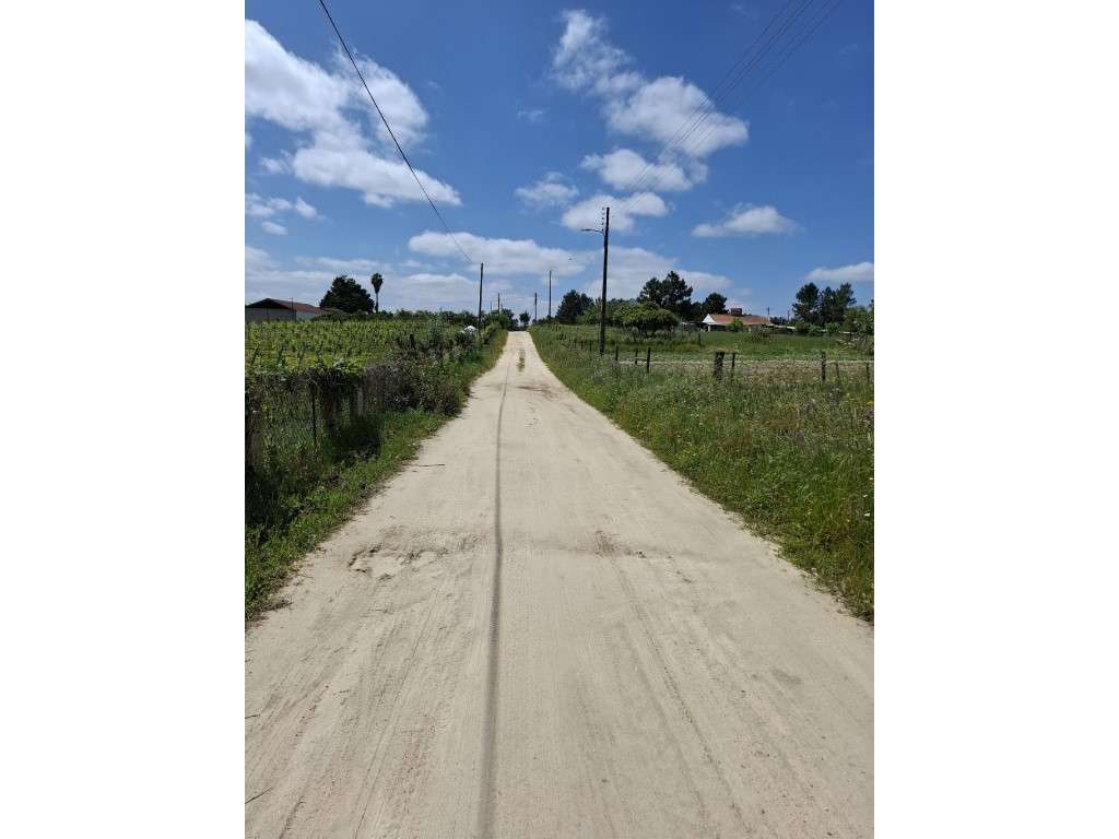 Quintinha nas Fazendas da Arriça - Branca - Grande imagem: 4/25