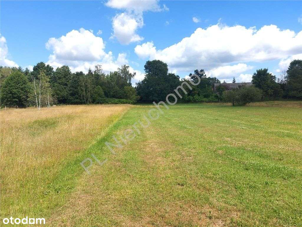 Działka rolna na uboczu dla "Ogrodnika" - Pełny obrazek: 4/9