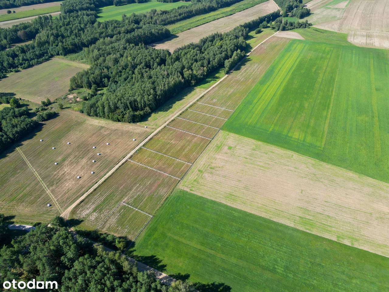 Niedaleko Ostrowi Mazowieckiej wymarzone miejsce pod Twój dom-10