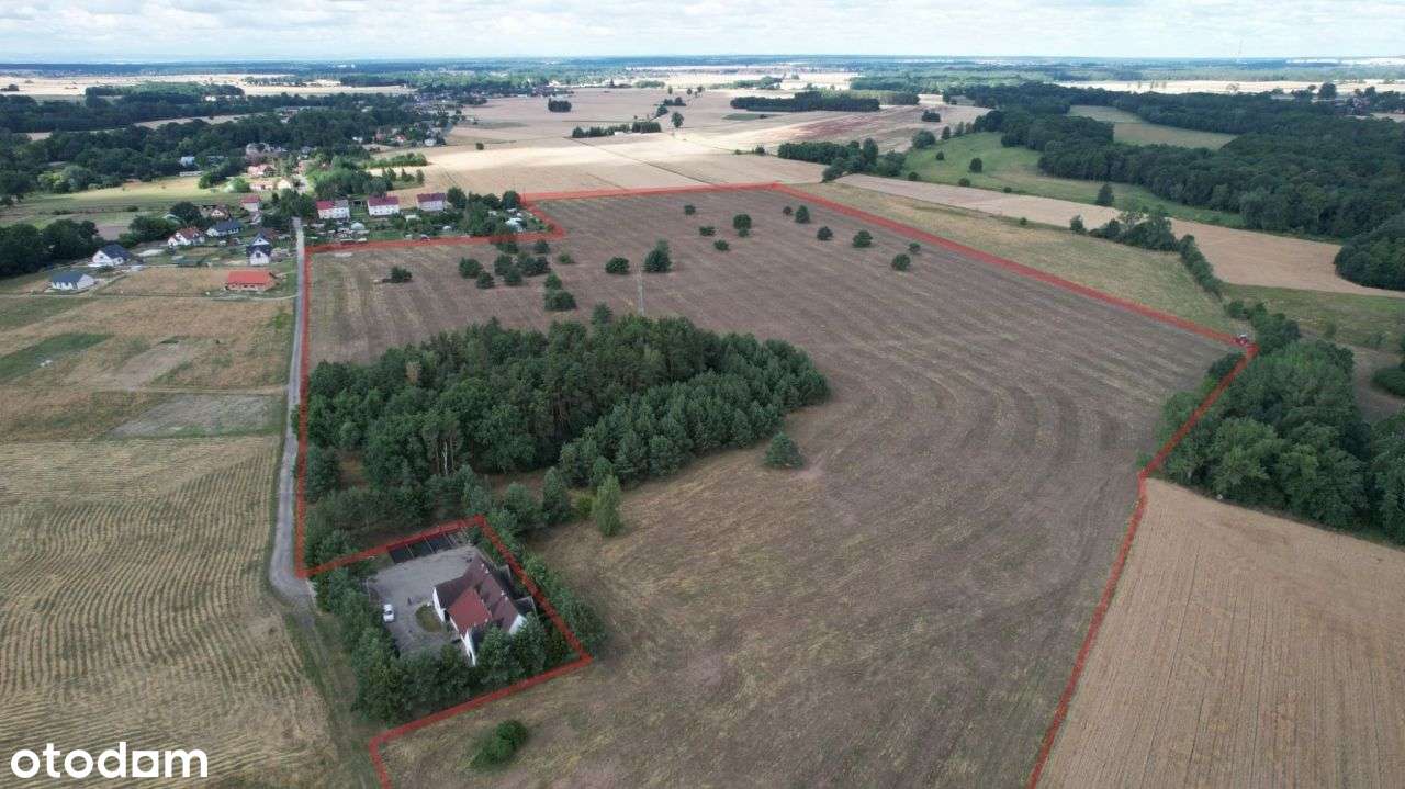 Atrakcyjnie położone działki budowlane, Niemstów o - Pełny obrazek: 4/6