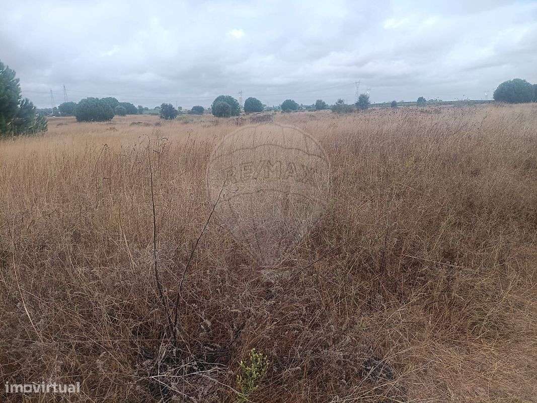 Terreno  para venda - Grande imagem: 5/5