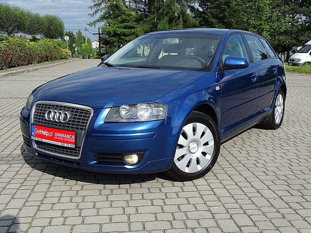 Audi A3 8P 1.9 TDI Ambiente 2007