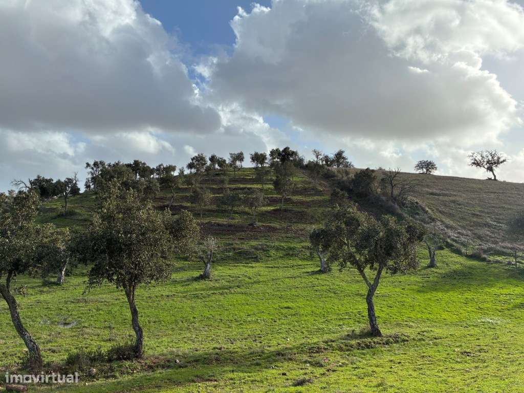 Herdade com moradia para recuperar [ barragem e ribeiro ] - Grande imagem: 5/54