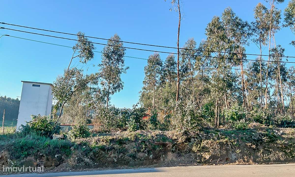 Terreno 12.000m² - Grimancelos - Grande imagem: 4/8