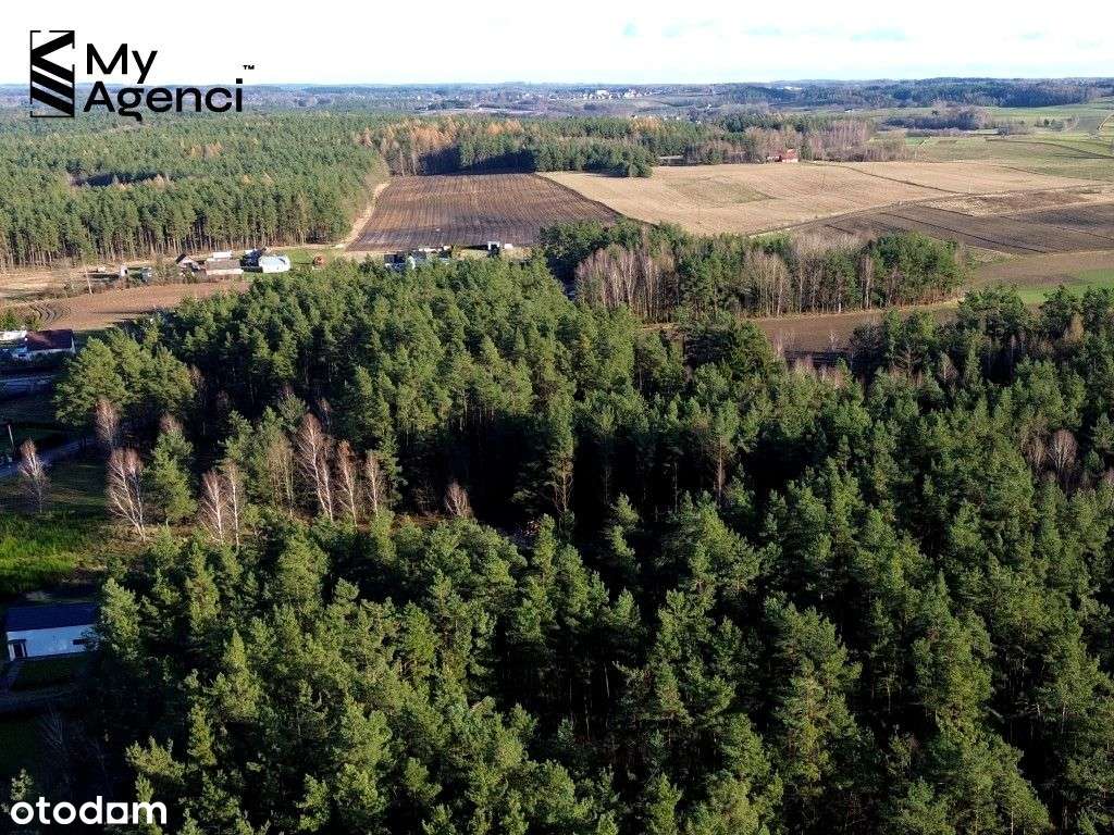 Lewino, ul. Lipowa - działki na sprzedaż - Pełny obrazek: 5/20