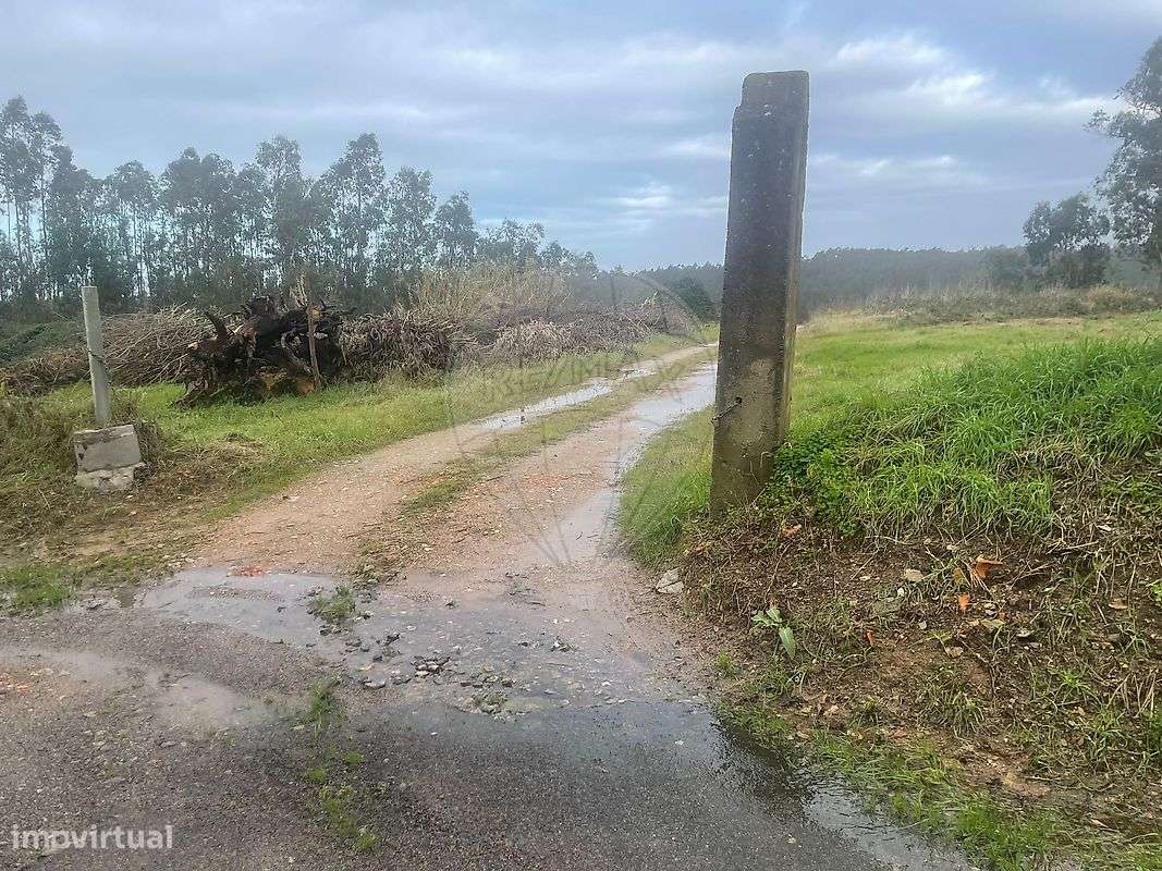 Terreno  para venda - Grande imagem: 5/6