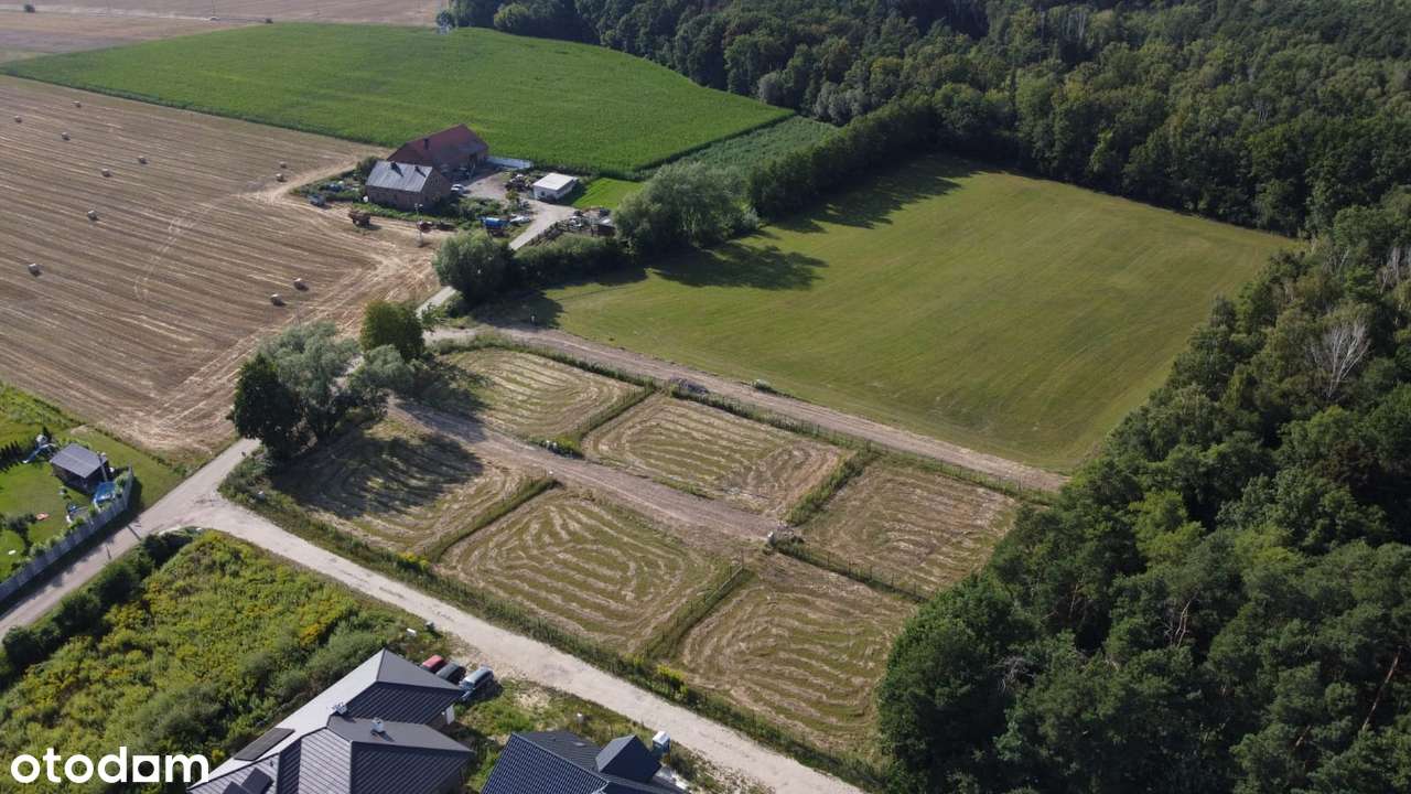 7 działek REZYDENCJONALNYCH  PRZY LESIE  1614m2 do 2610m2 podatek VAT - Pełny obrazek: 5/20