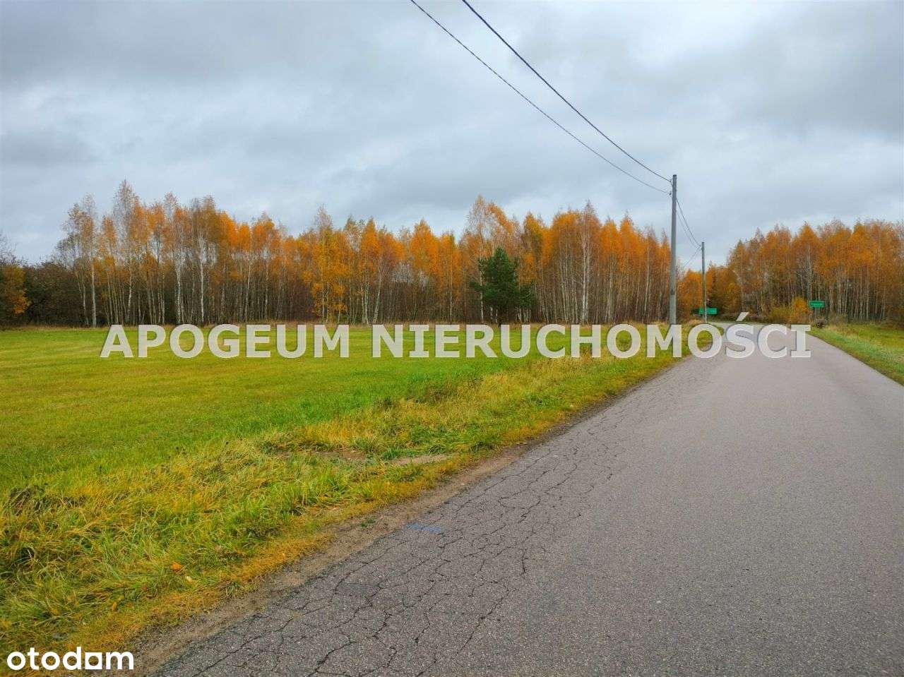 Atrakcyjna działka 1400m2 Baciuty Kolonia. - Pełny obrazek: 4/7