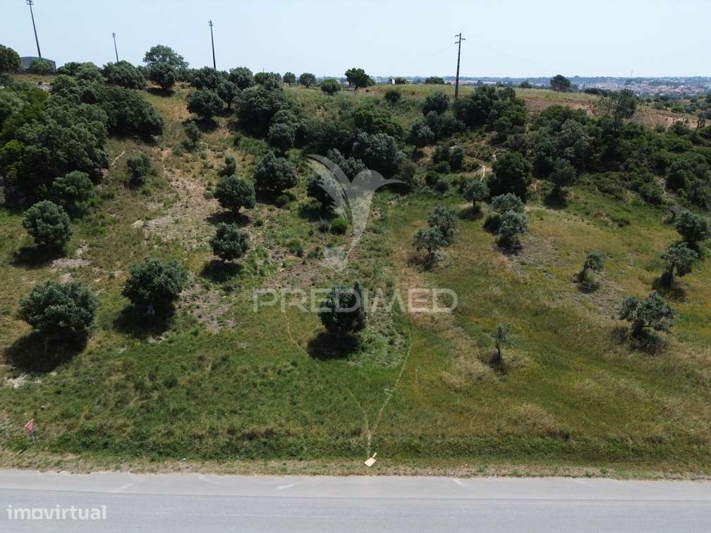 Terreno Rústico - Vila Moreira, Alcanena - Grande imagem: 5/21
