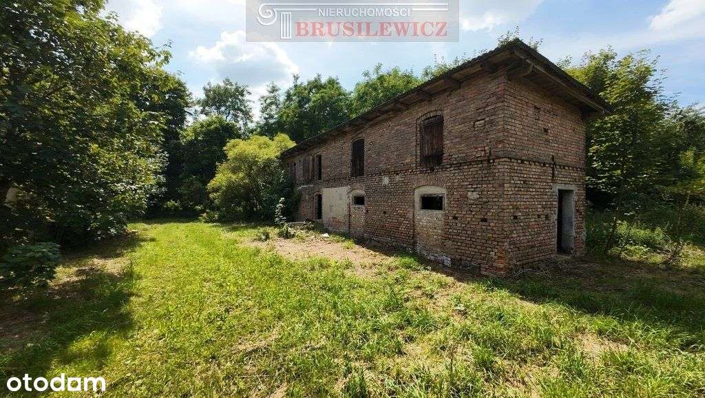 Dom, 14 000 m², Jarząbki - Pełny obrazek: 5/16