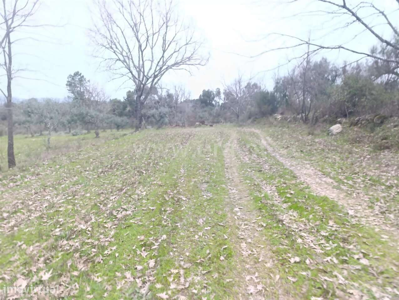 Terreno Rústico Estúdio / Fundão, Orca - Grande imagem: 5/10
