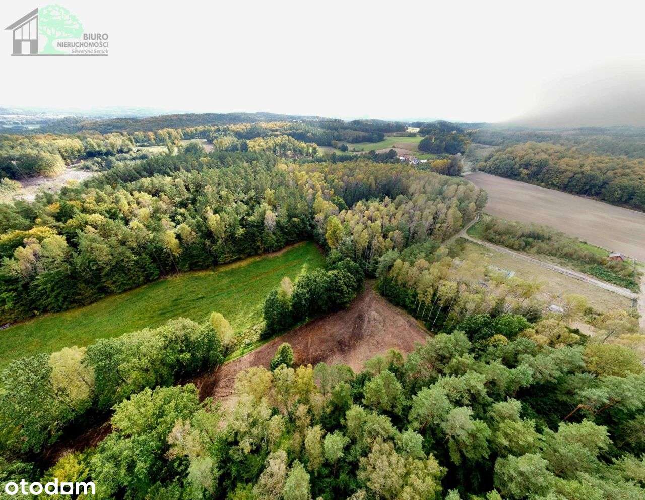 Duża działka siedliskowa 4600 m2 Strzebielino Wyb. - Pełny obrazek: 5/17