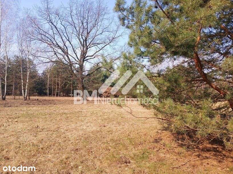 Makówka w/w osiedla Czarny Las-1