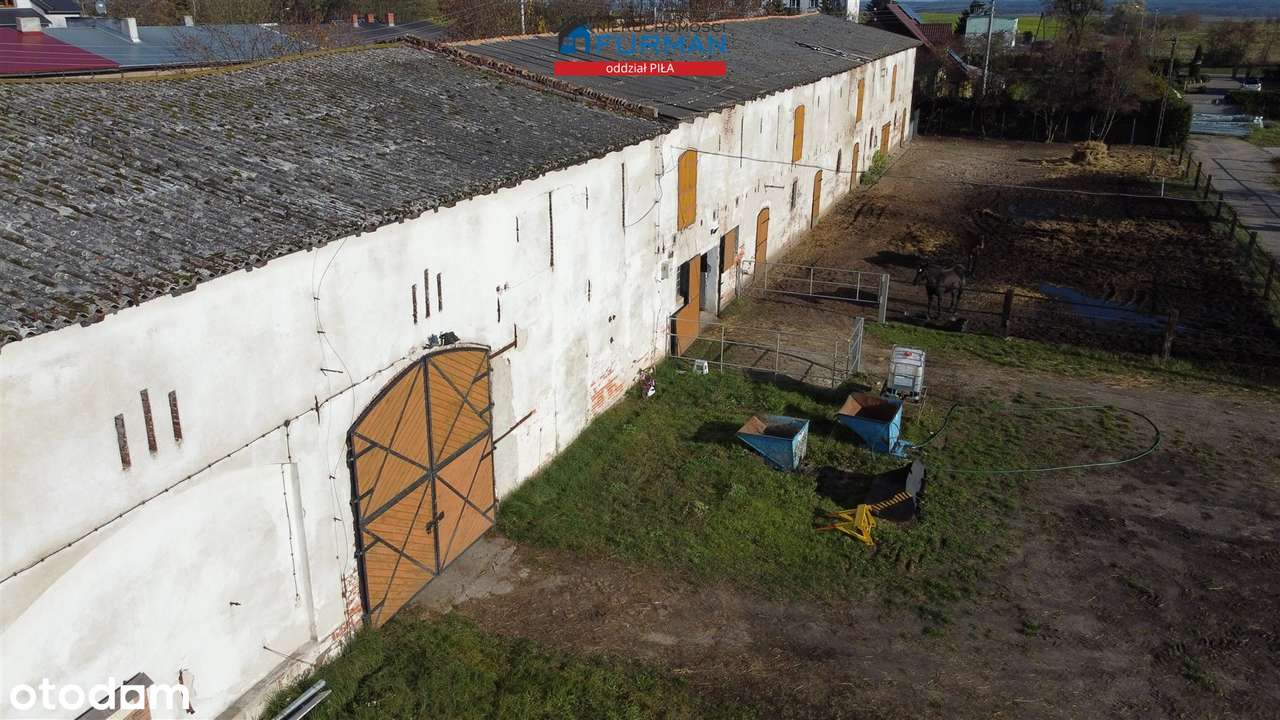 Hala na sprzedaż, Trzcianka (gw) - Pełny obrazek: 5/19