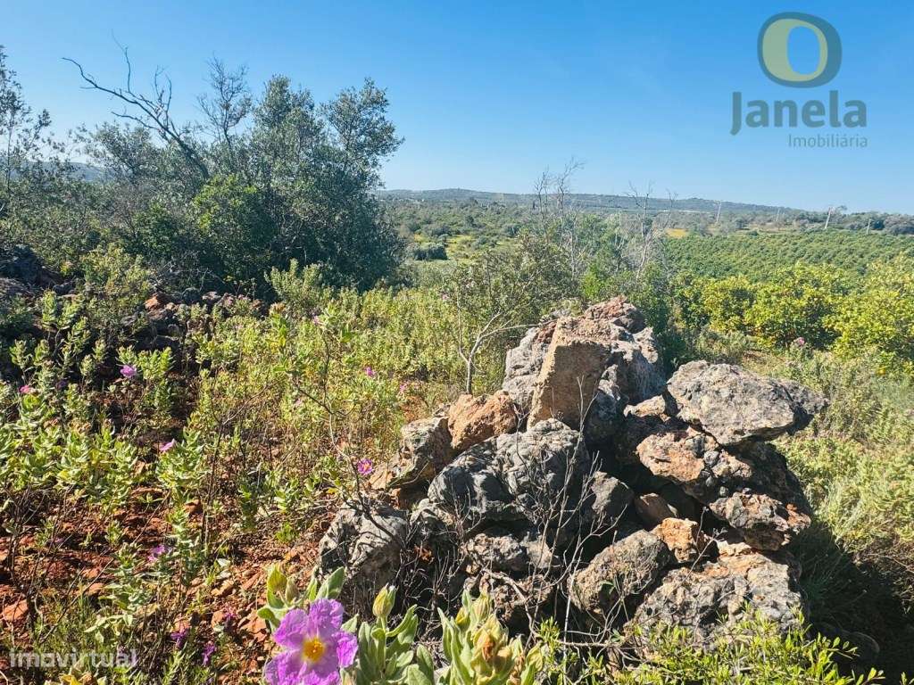 Terreno Rústico com Vista Panorâmica - Paderne, Algarve - Grande imagem: 3/5