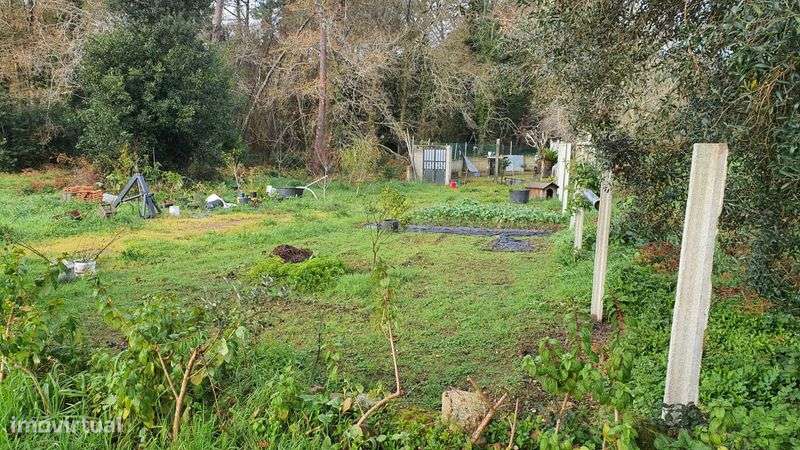 Terreno Rústico de cultivo - Grande imagem: 5/6