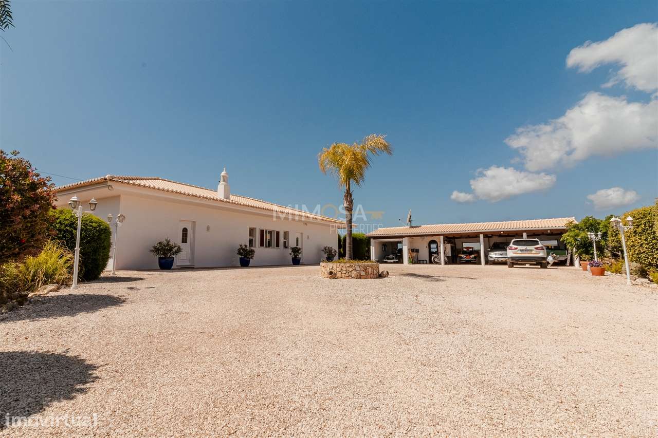 Moradia T3+1 térrea com piscina, jardim, garagem, 3,6ha de terreno - B - Grande imagem: 5/53