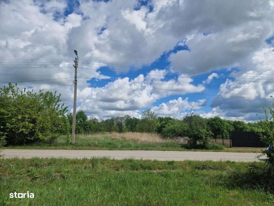 Teren intravilan Cocu Arges-3