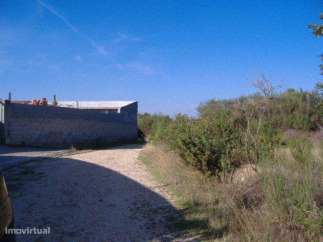 Terreno rústico com 6000 m2 - Grande imagem: 4/5