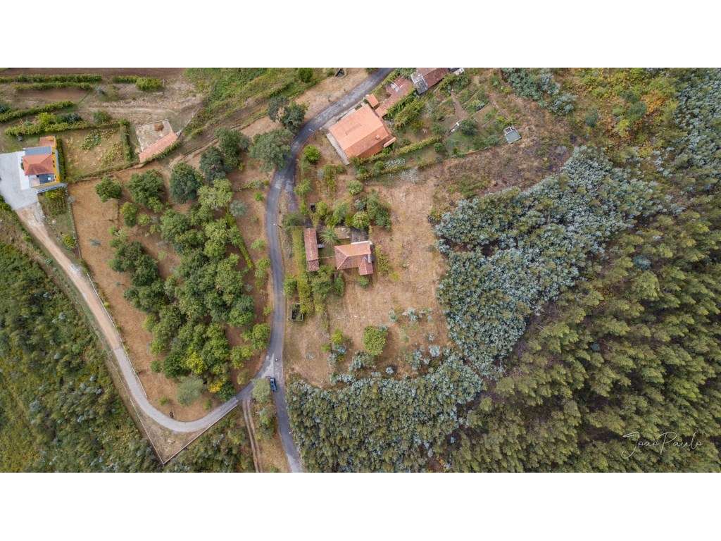 Quinta em Nogueira Paraíso Castelo de Paiva-18