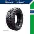 285/65 R18, Comforser CF1100 A/T 125/122S, All Road AT M+S (Model BFGoodrich) - 1